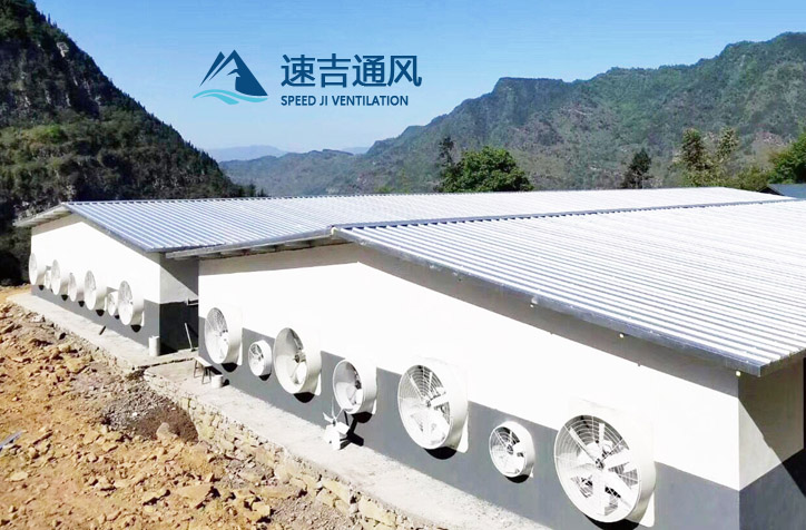 降溫水簾風(fēng)機設(shè)計安裝高度標(biāo)準(zhǔn)和豬場濕簾安裝運用8個誤解